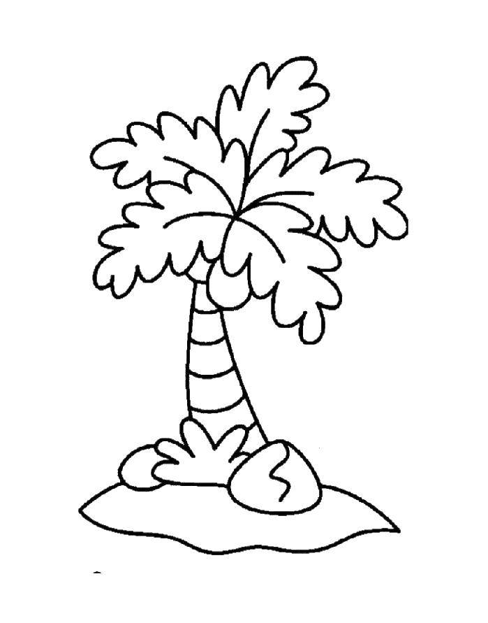 Coloring Funny palm tree. Category island. Tags:  Island.