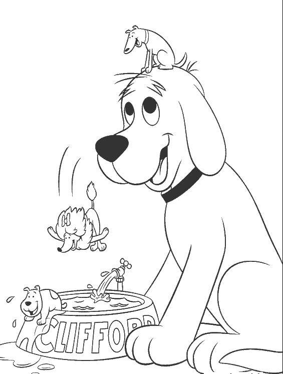 Coloring Dog and bowl. Category dogs. Tags:  dogs, cartoons, bowl.