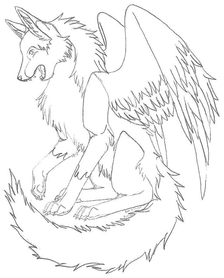 Coloring Dog with wings. Category coloring. Tags:  wings, dogs.