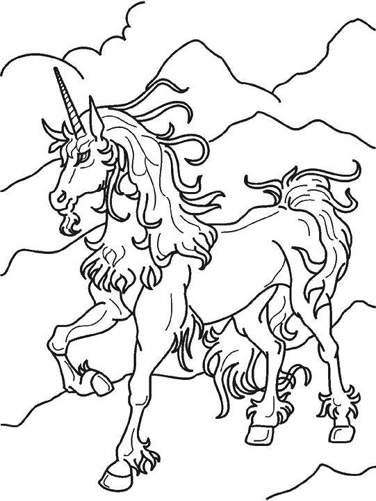 Coloring The old unicorn. Category unicorns. Tags:  unicorn, horse.