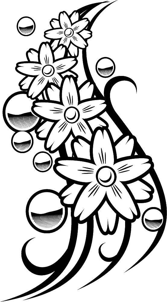 Coloring Flowers and bubbles. Category flowers. Tags:  flowers, bubbles.