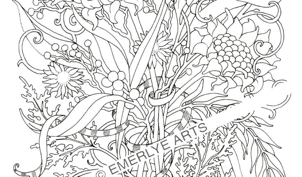 Coloring Twigs and flowers. Category flowers. Tags:  flowers, plants, flowers.