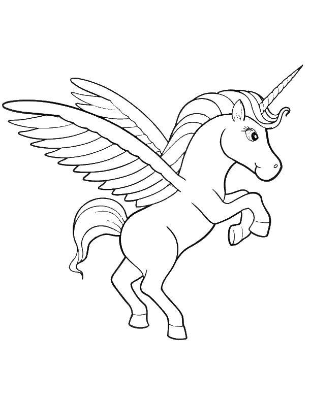Coloring The young Pegasus. Category coloring. Tags:  Magic create.