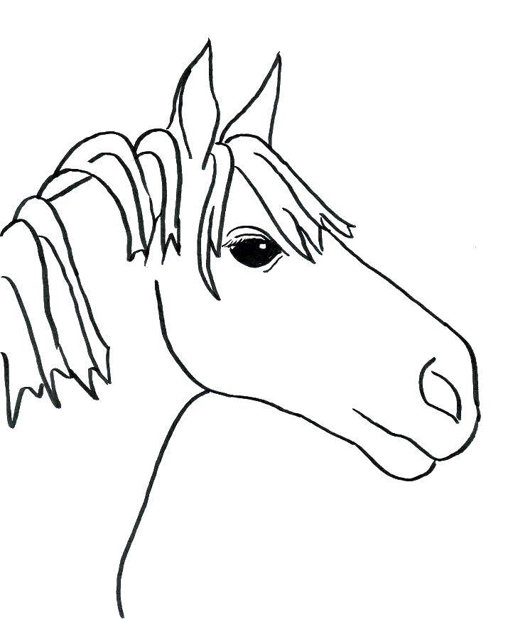 Рисунки голова лошади с боку (39 фото)