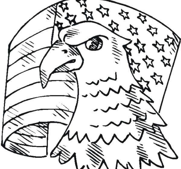 Coloring Eagle head and flag. Category USA . Tags:  USA, America, flag.