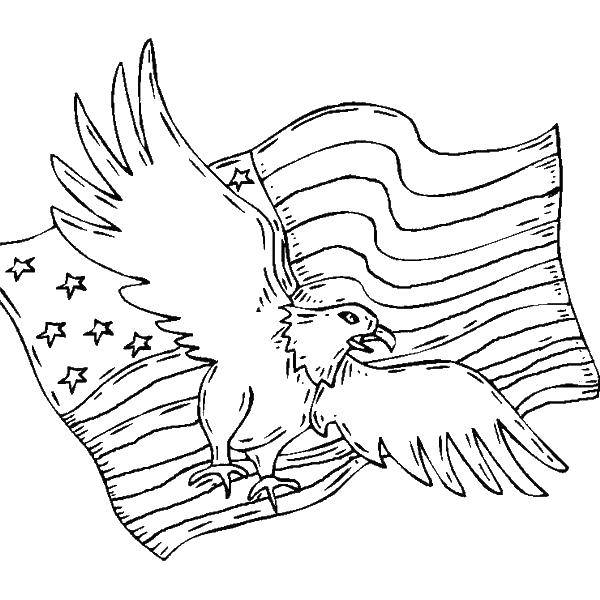 Coloring Eagle and American flag. Category Flags. Tags:  flag, USA, America, eagle.