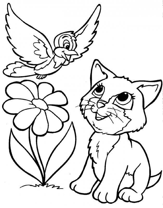 Название: Раскраска Рисунок котенок и птичка. Категория: домашние животные. Теги: кошка, кот.