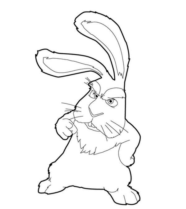 Название: Раскраска Рисунок заец. Категория: домашние животные. Теги: заяц, кролик.