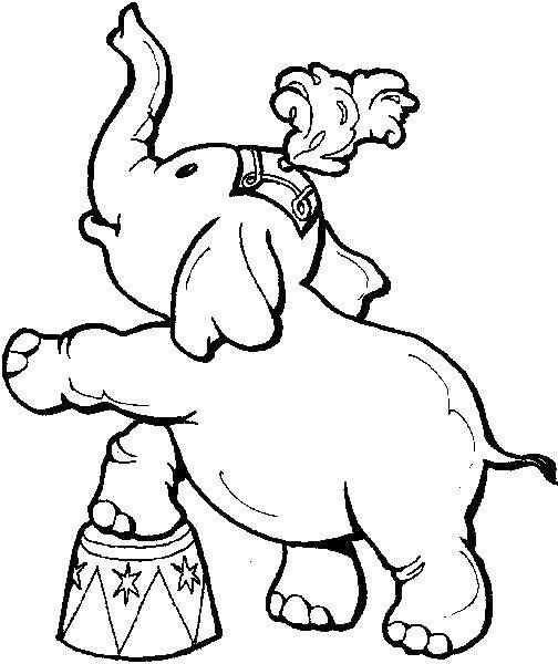 Coloring Circus elephant. Category coloring. Tags:  elephants, circuses.