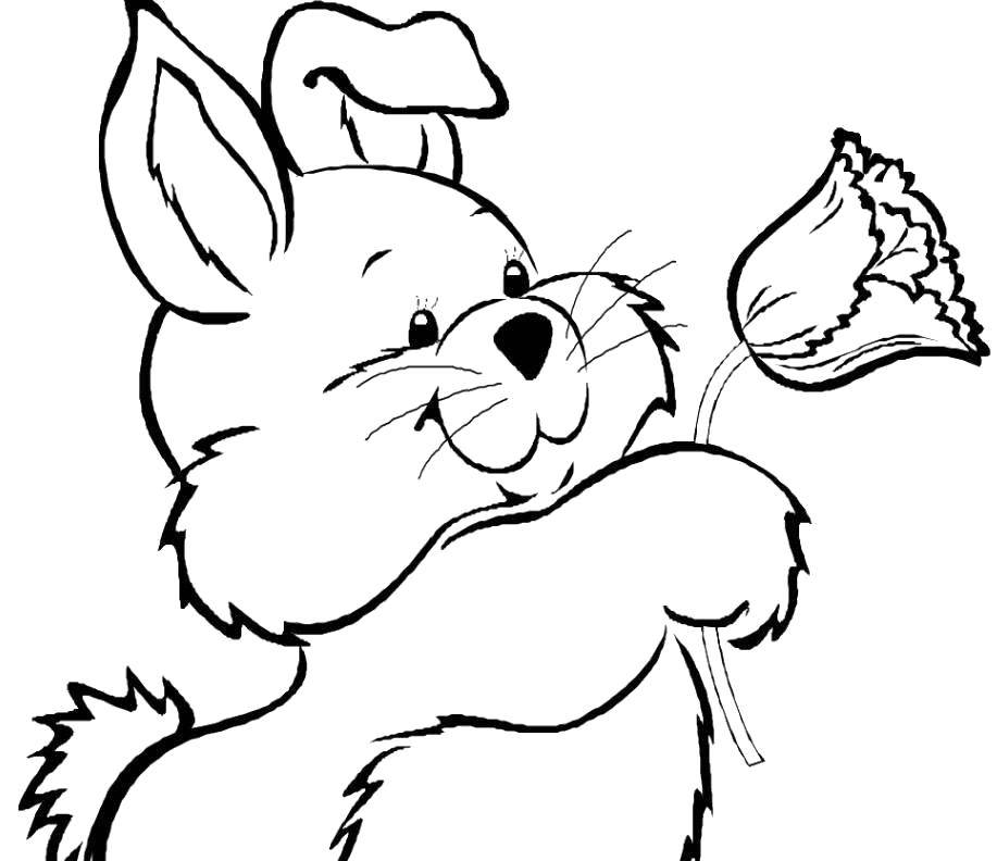 Название: Раскраска Зайка дарит тюльпан. Категория: кролик. Теги: Животные, зайчик.