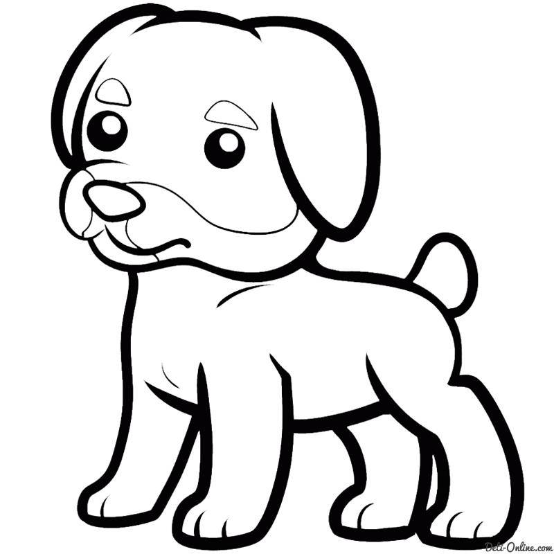 Название: Раскраска Рисунок собака. Категория: домашние животные. Теги: собака.