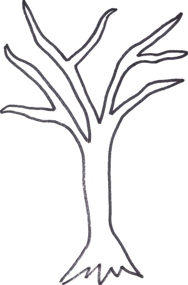 Название: Раскраска Нарисованное дерево. Категория: дерево. Теги: контур дерева.