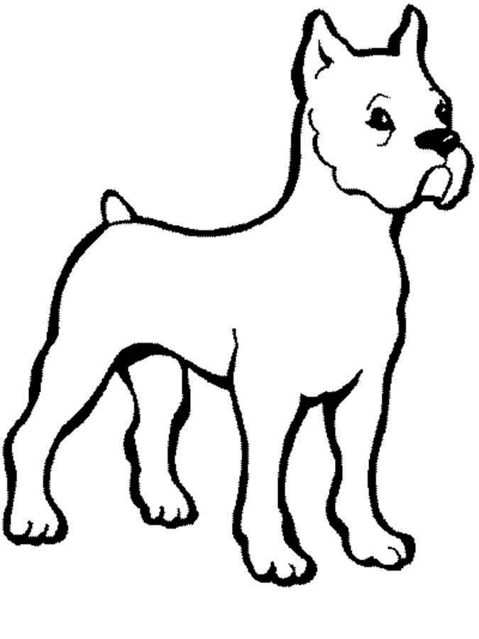 Coloring Drawing dog. Category Pets allowed. Tags:  the dog.