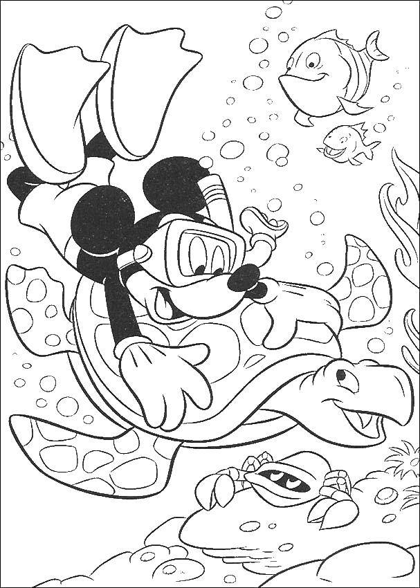 Coloring Mickey mouse floats on a turtle. Category Disney coloring pages. Tags:  Disney, Mickey Mouse.