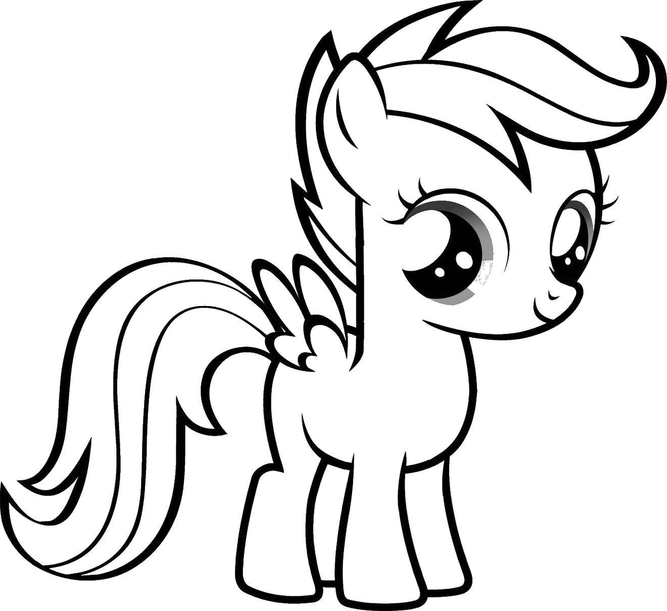 Coloring Pony scootaloo. Category my little pony. Tags:  scootaloo, ponies.