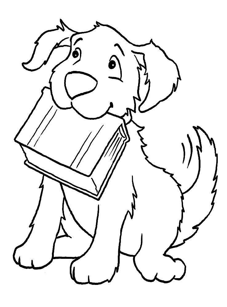 Название: Раскраска Рисунок собака принесла книгу. Категория: домашние животные. Теги: собака, книга.