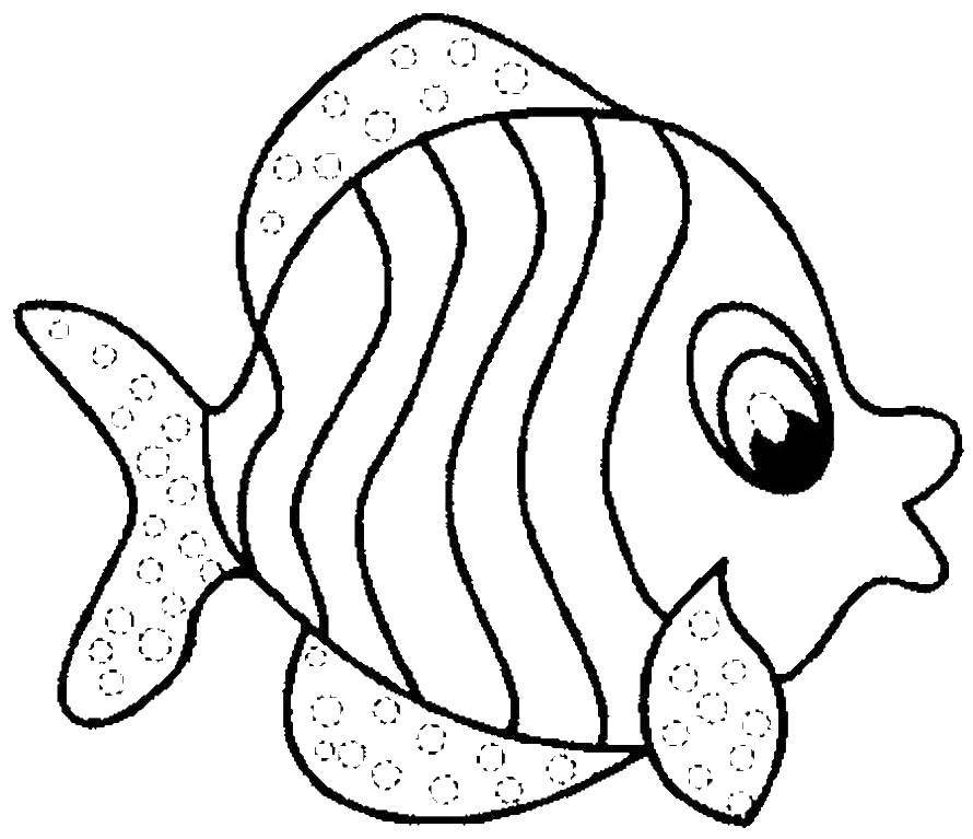Coloring Fish. Category Fish. Tags:  fish, sea, water.
