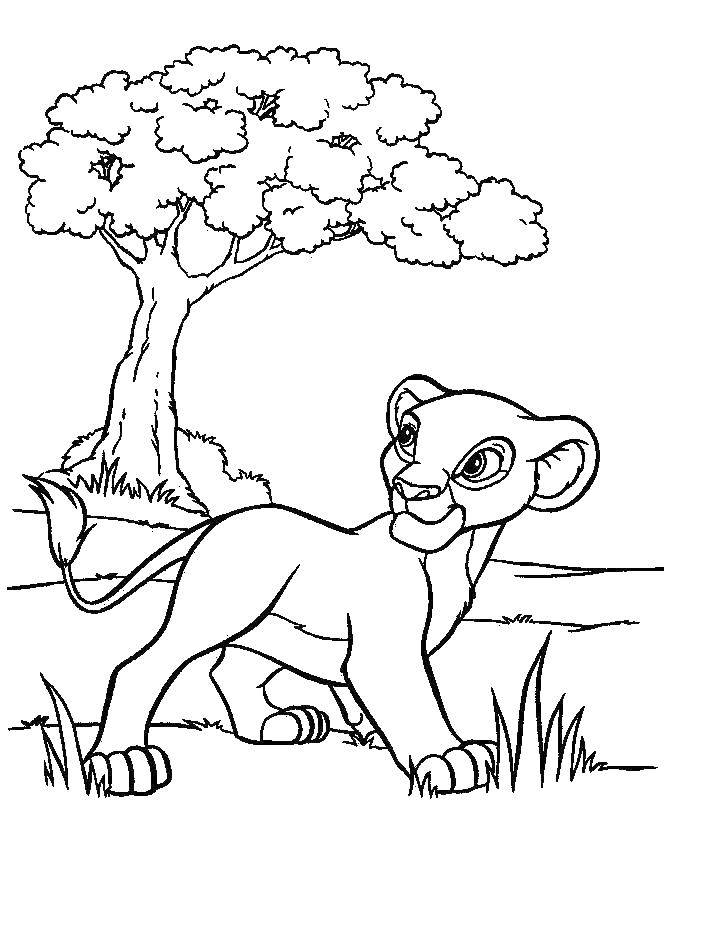 Coloring Simba. Category Disney coloring pages. Tags:  tiger cartoon, Simba.