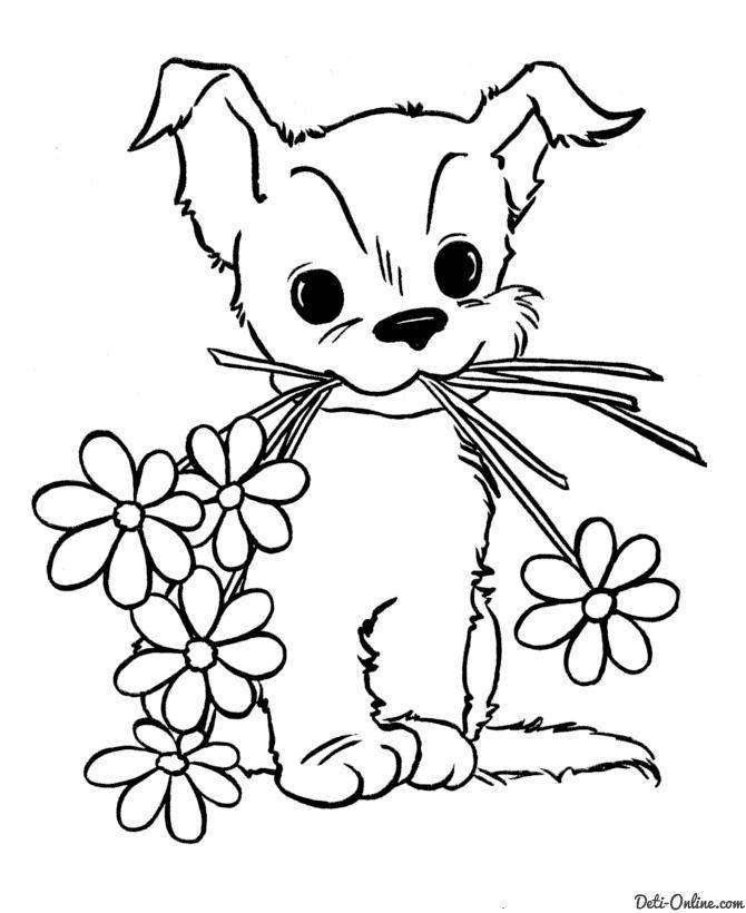 Название: Раскраска Рисунок щенок с цветком. Категория: домашние животные. Теги: собака.
