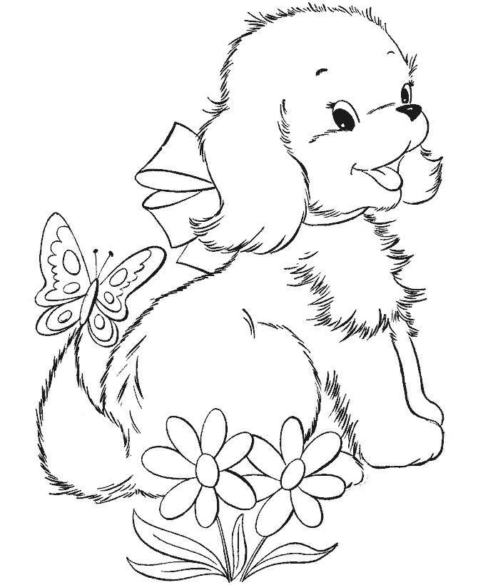 Coloring Doggy bow. Category Pets allowed. Tags:  the dog.