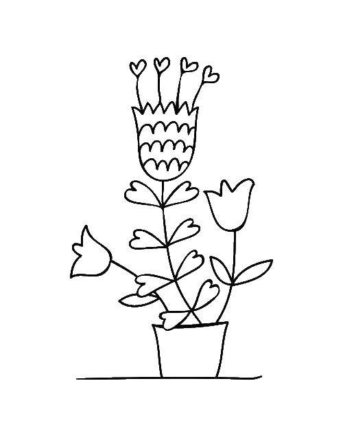 Coloring A flower in a pot. Category flowers. Tags:  flowers, plants, buds, petals.