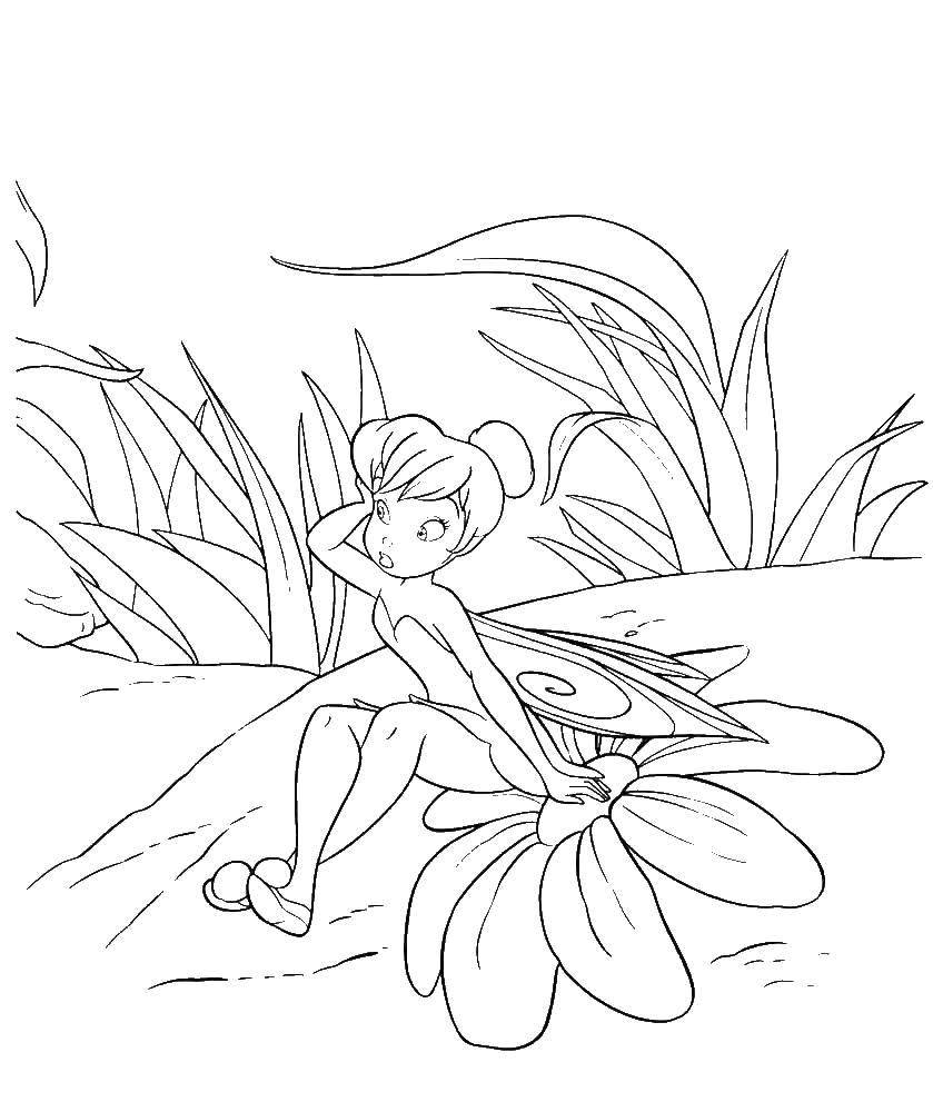 Coloring Tinker bell from disney fairies . Category fairies. Tags:  Fairy, tale.