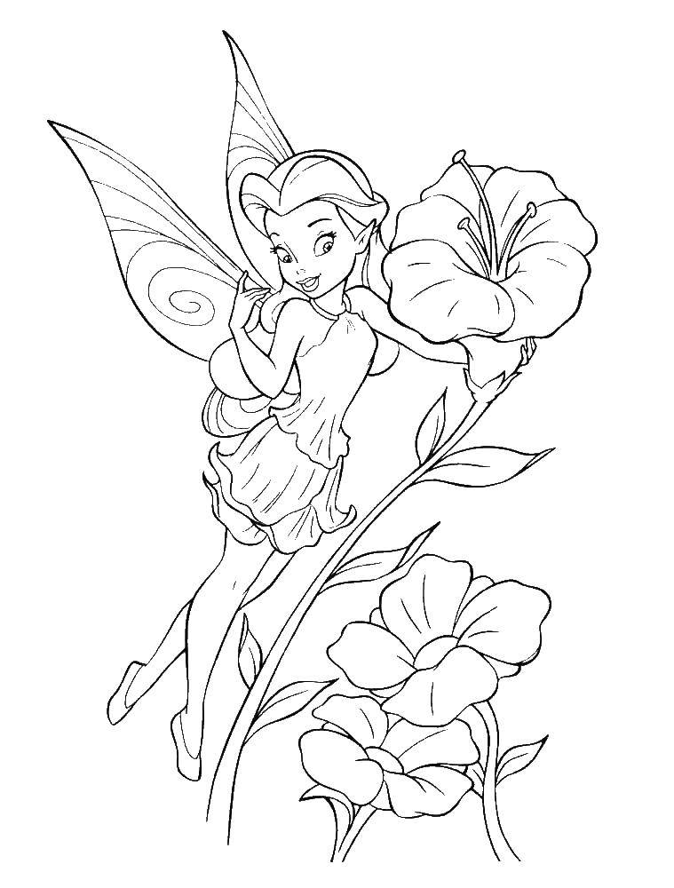 Coloring Tinker bell. Category fairies. Tags:  fairies , wings, girls, tinkerbell.