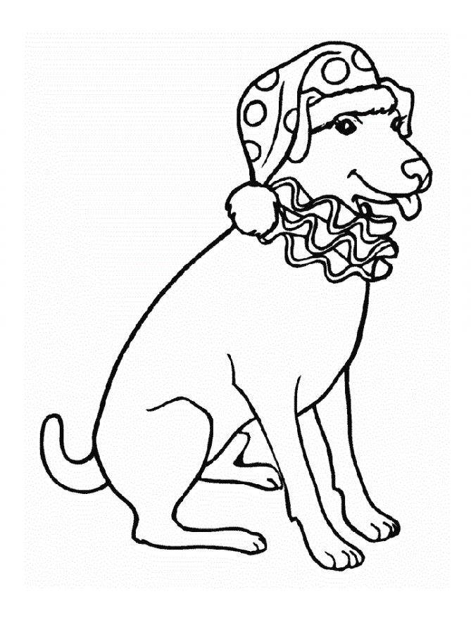 Название: Раскраска Рисунок нарядной собаки. Категория: домашние животные. Теги: собака.