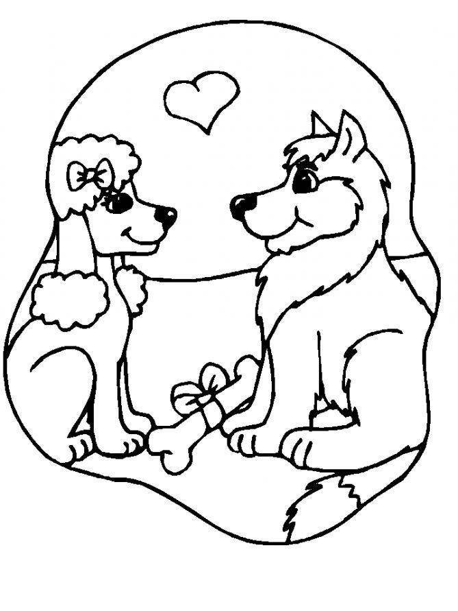 Название: Раскраска Рисунок влюбленные собаки. Категория: домашние животные. Теги: собака.