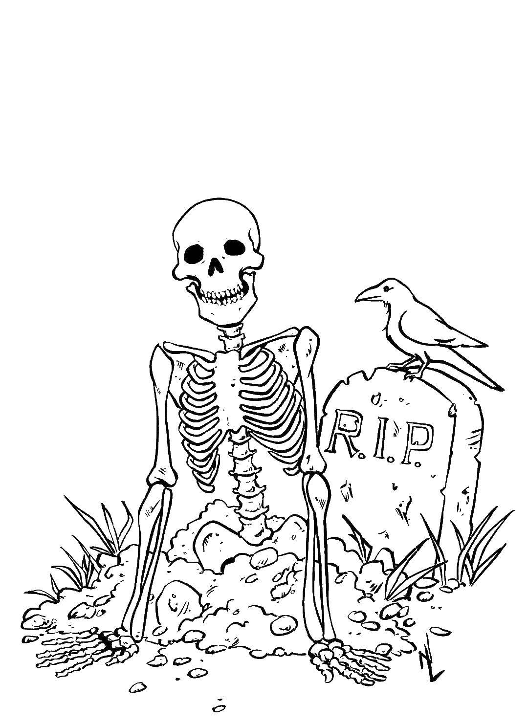 Coloring The skeleton woke up. Category Halloween. Tags:  Halloween, skeleton.
