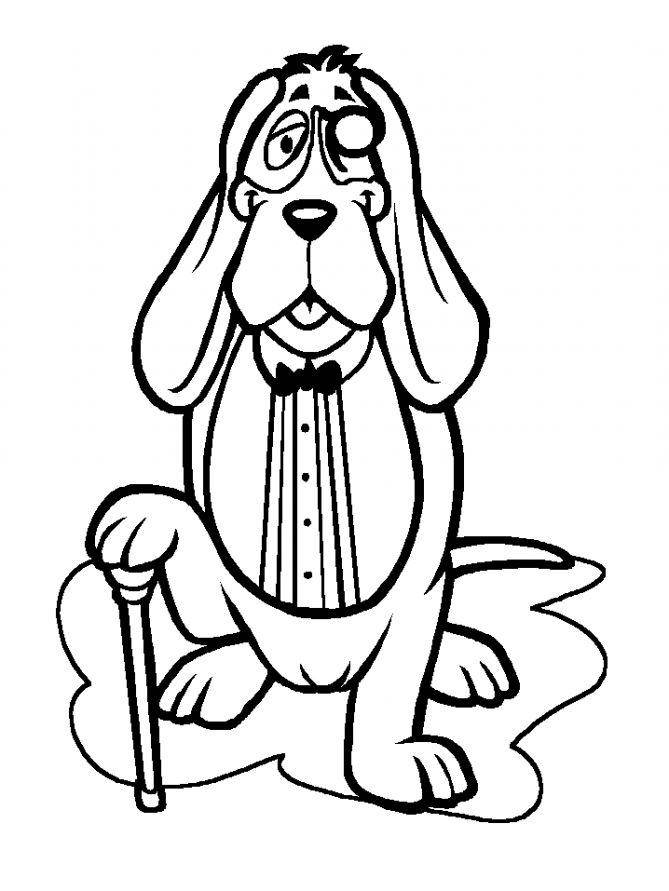 Название: Раскраска Рисунок старой собаки. Категория: домашние животные. Теги: собака.