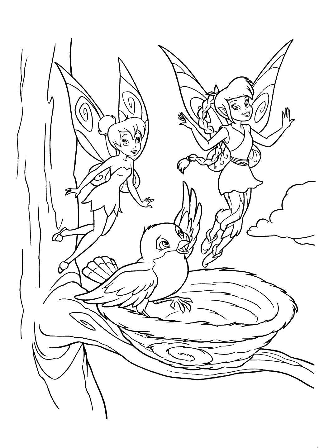 Coloring Fairies. Category fairies. Tags:  fairies, bird girls.