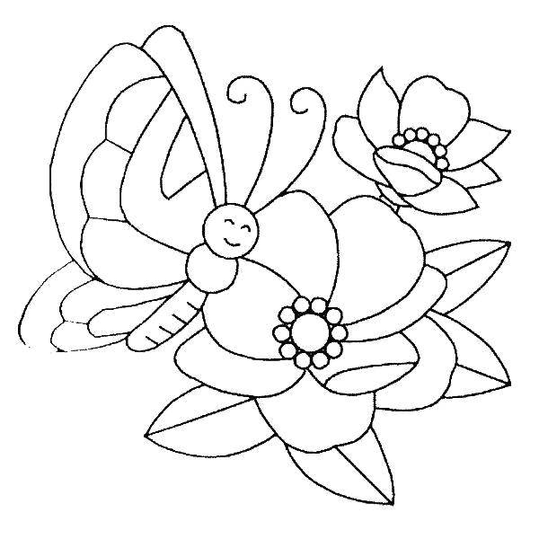 Название: Раскраска Бабочка на цветочках. Категория: Бабочка. Теги: Бабочка, цветы.