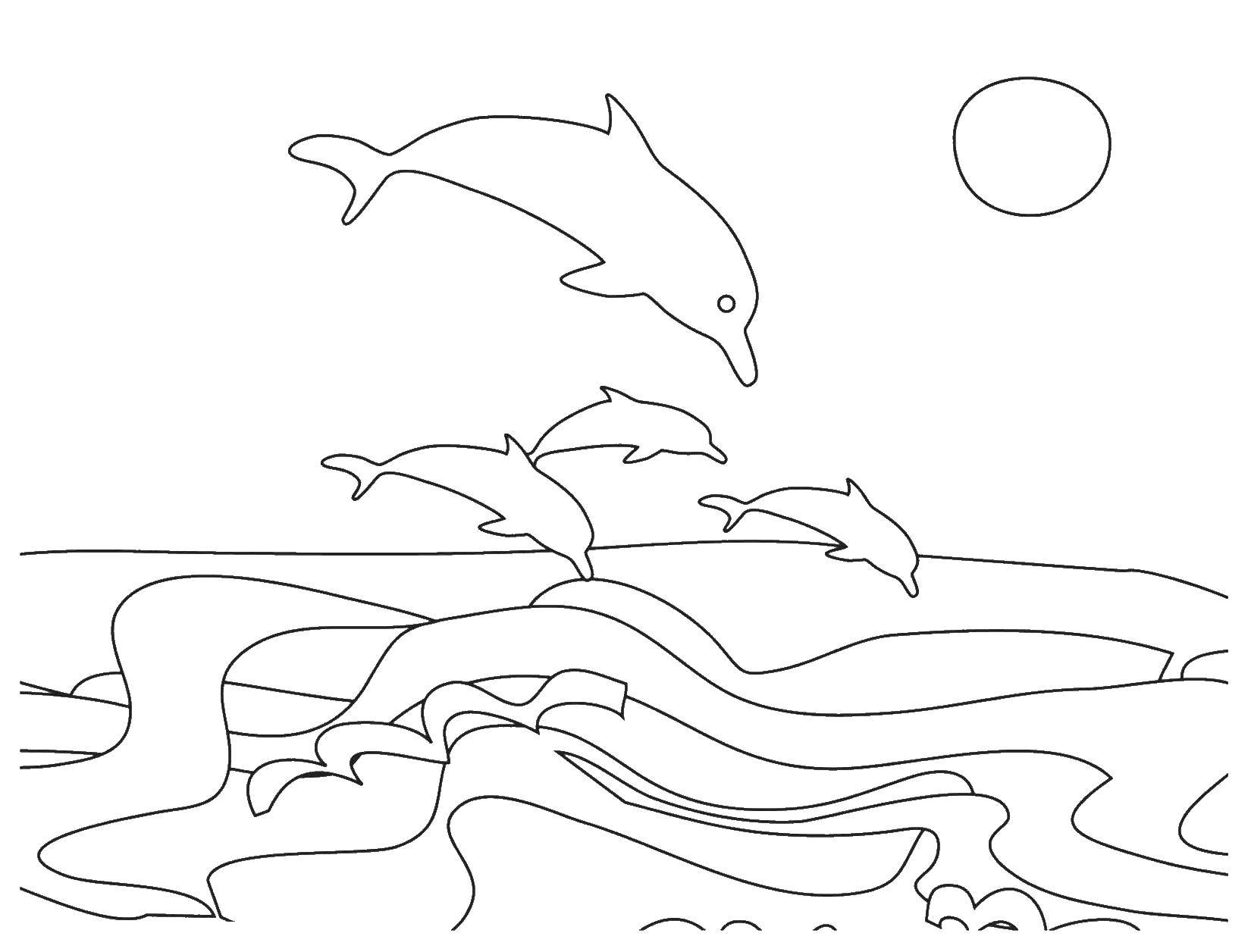 Название: Раскраска Дельфины выпрыгивают  из воды. Категория: рыбы. Теги: Рыбы, игры, вода, дельфины.