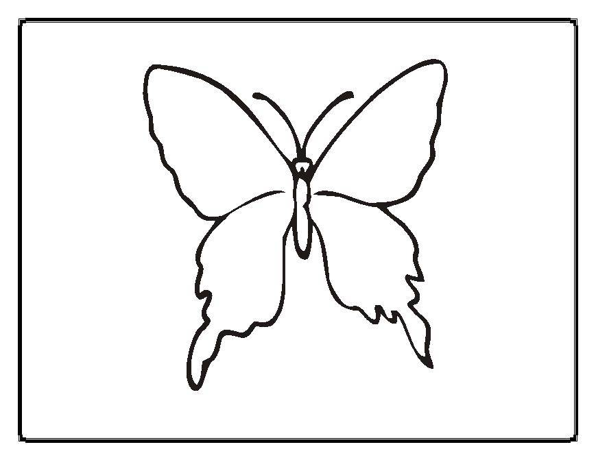Название: Раскраска Маленькая бабочка. Категория: Бабочка. Теги: Бабочка.