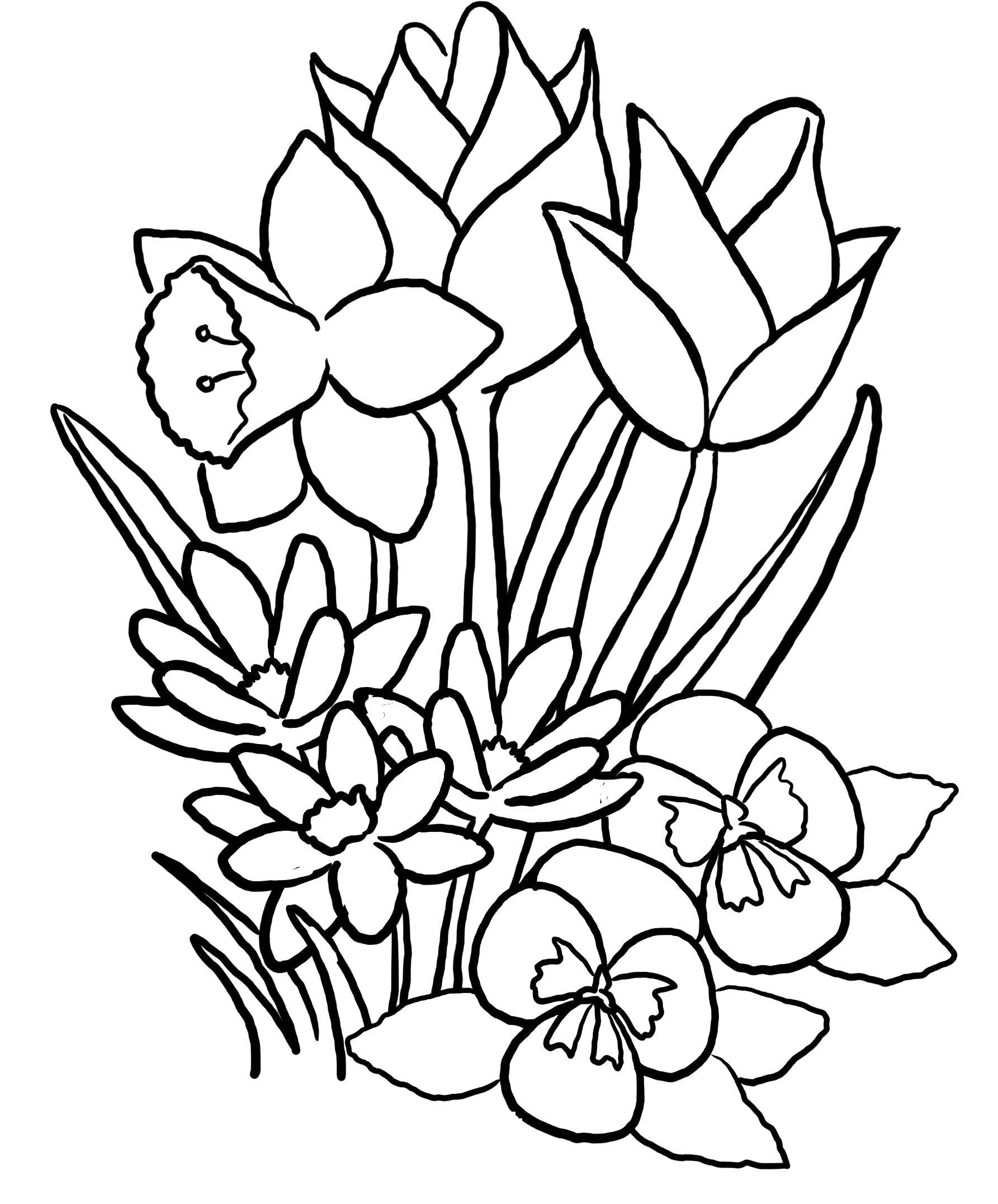 Coloring A variety of flowers. Category flowers. Tags:  Flowers, bouquet.