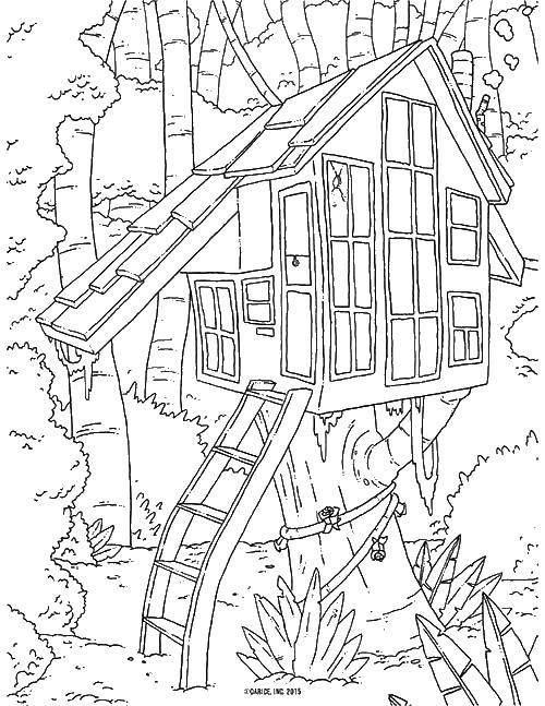 Розмальовки  Будиночок на дереві. Завантажити розмальовку будинок, дерево, природа.  Роздрукувати ,будинку,