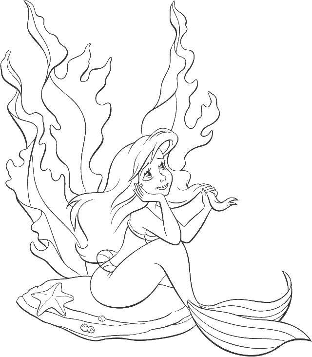 Coloring Ariel sitting on a shell. Category The little mermaid. Tags:  Ariel, mermaid.