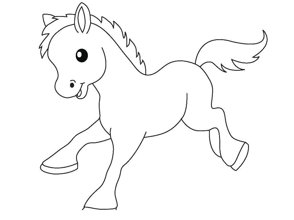 Название: Раскраска Игривая лошадка. Категория: детеныши животных. Теги: Детёныш, лошадка.