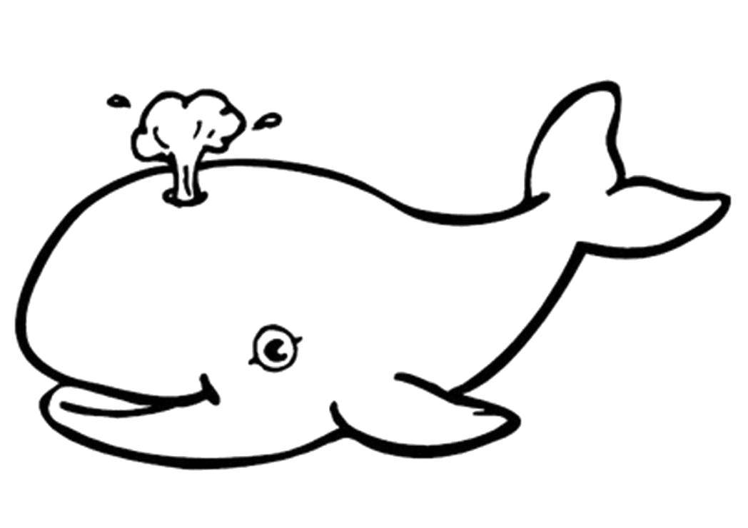Название: Раскраска Китёнок пускает фонтанчик. Категория: Раскраски для малышей. Теги: Подводный мир, кит.