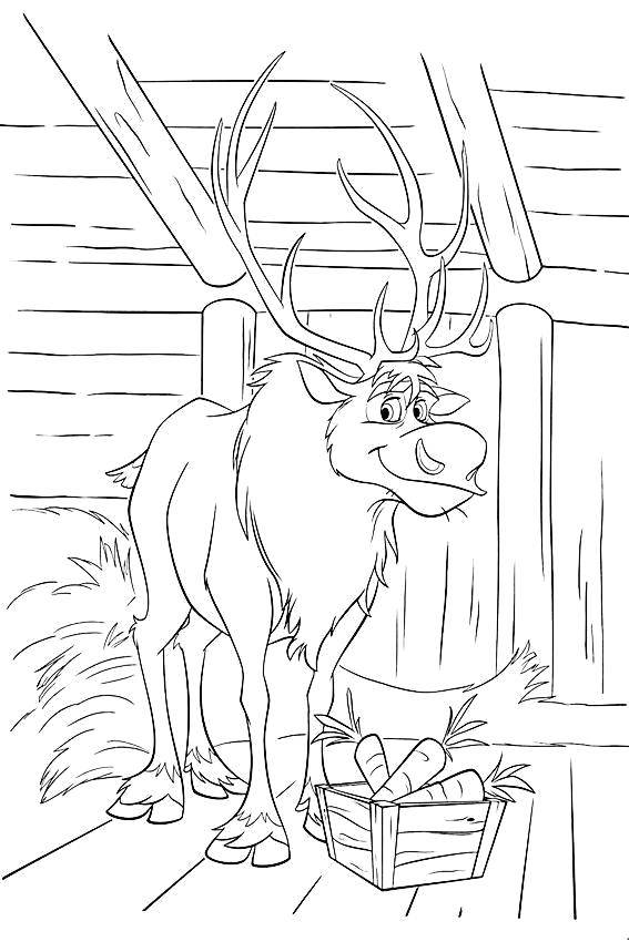 Coloring Moose from the disney cartoon. Category Disney cartoons. Tags:  Disney, animals, moose.