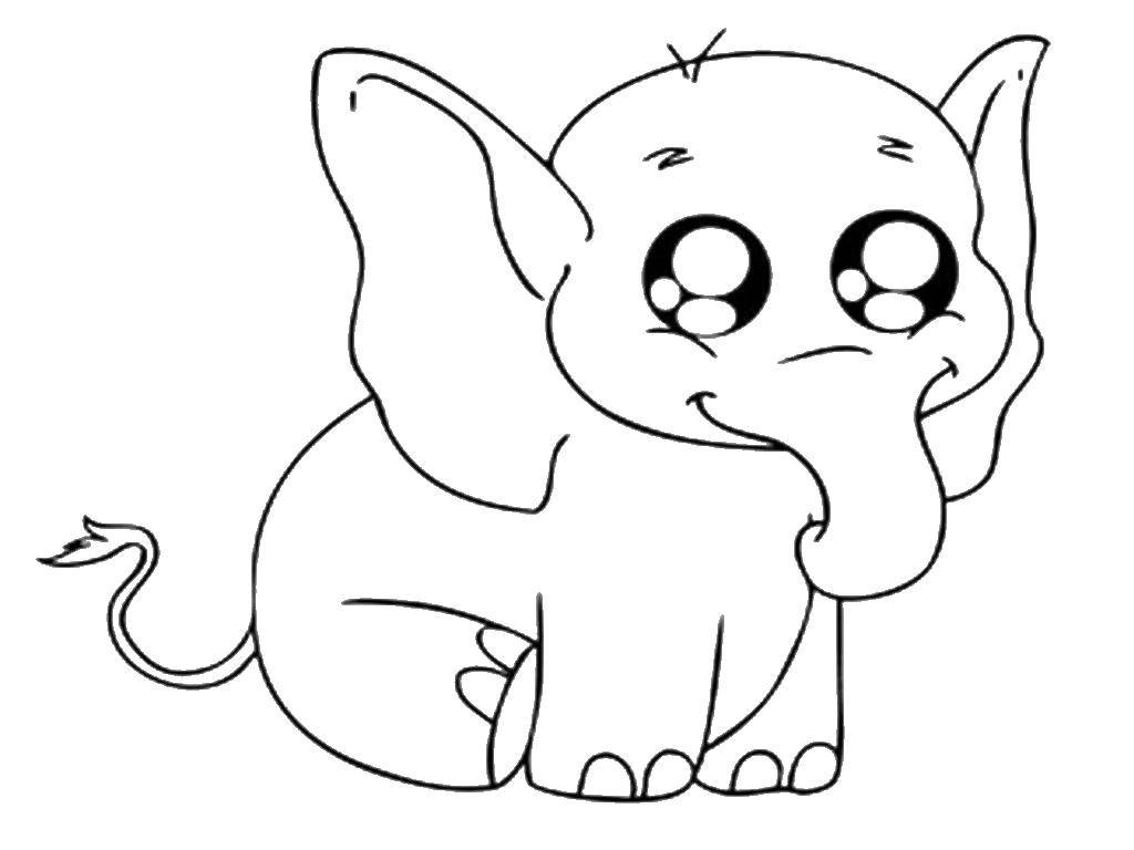 Название: Раскраска Милый слонёнок. Категория: детеныши животных. Теги: Детёныш, слонёнок.