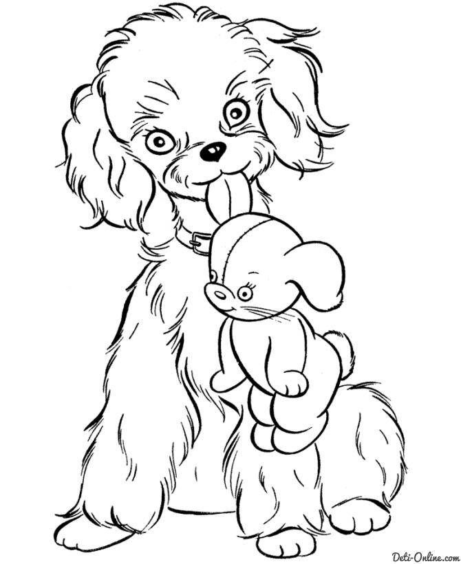 Название: Раскраска Рисунок собаки с игрушкой. Категория: домашние животные. Теги: собака.