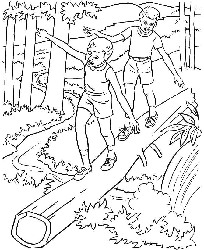 Розмальовки  Діти проходять по колоді. Завантажити розмальовку діти, ліс, брус.  Роздрукувати ,Люди,