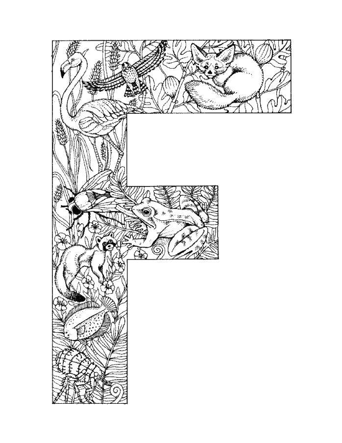 Coloring Alphabet, letters. Category English alphabet. Tags:  The alphabet, letters.