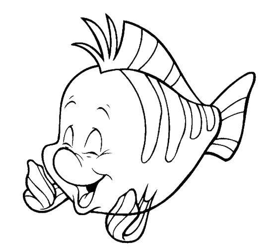 Coloring Fish flounder. Category The little mermaid. Tags:  fish, flounder.