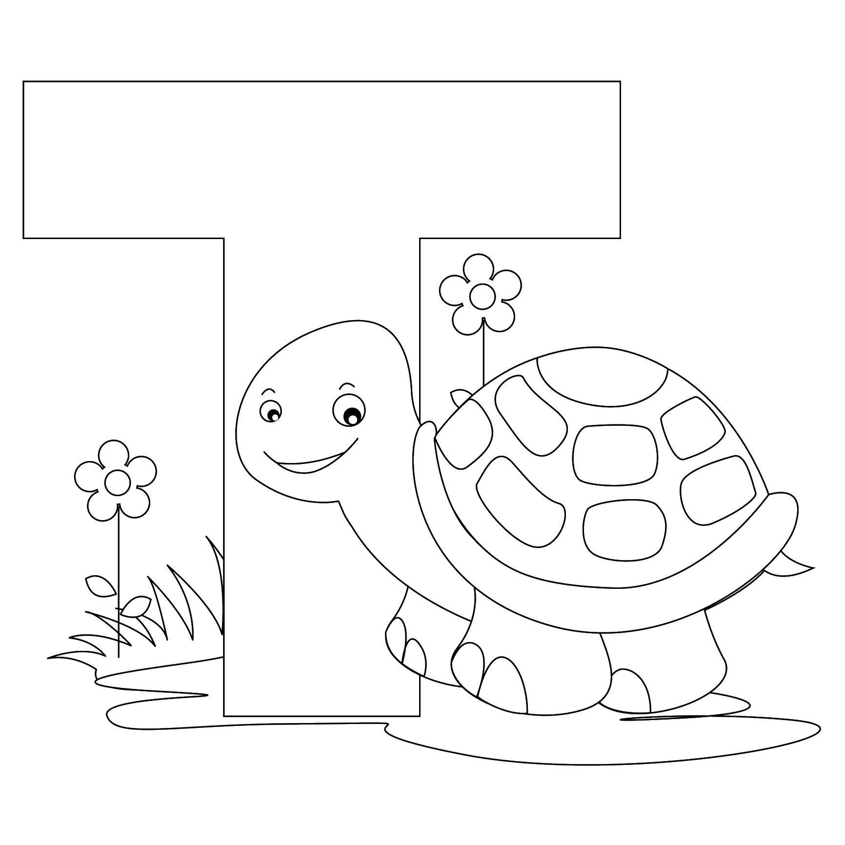 Coloring Turtle. Category English alphabet. Tags:  alphabet, English.