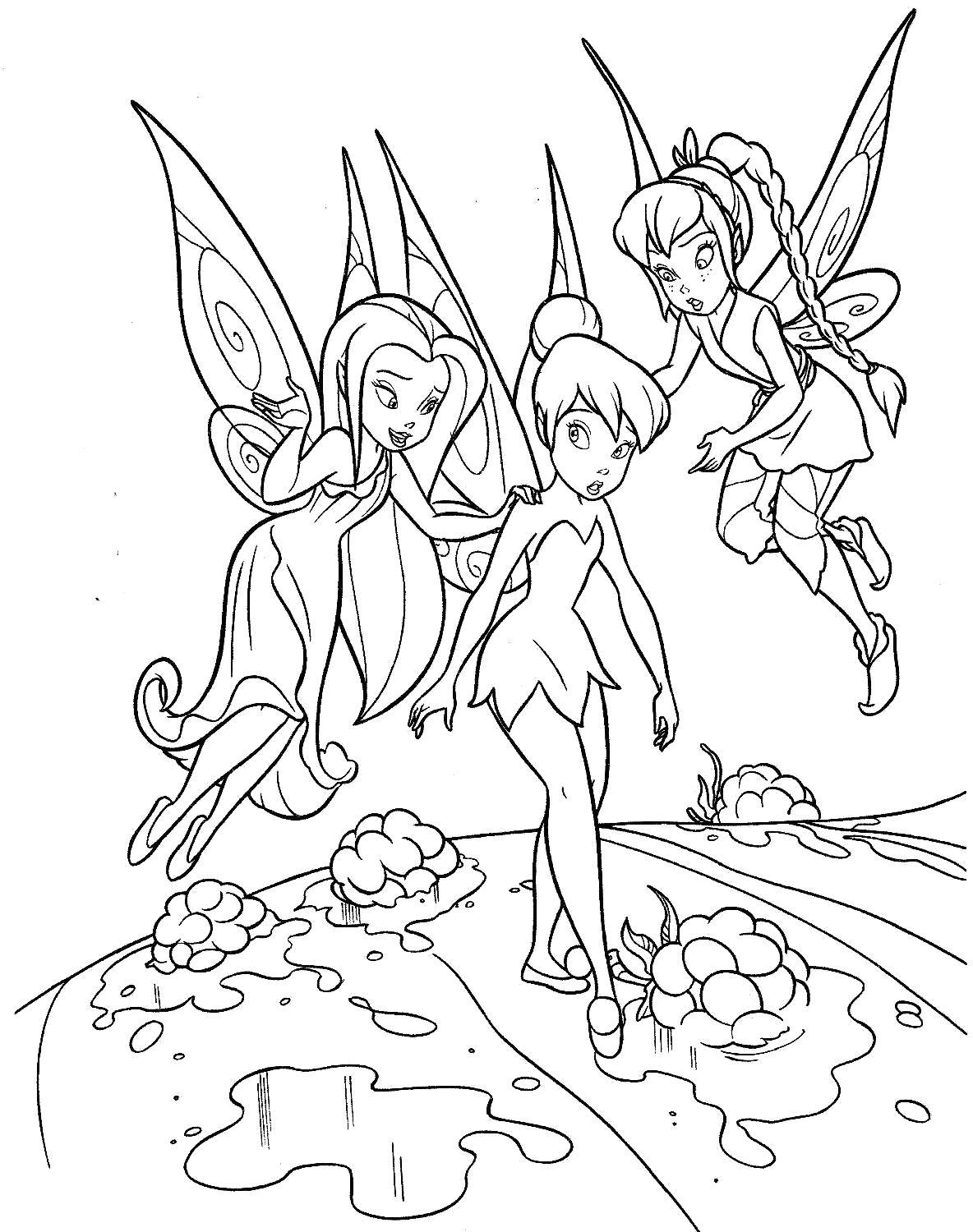 Coloring Fairies from disney fairies . Category Disney cartoons. Tags:  Fairy, tale.