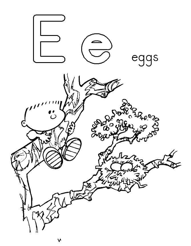 Название: Раскраска Мальчик на дереве. Категория: Английский алфавит. Теги: алфавит, английский.