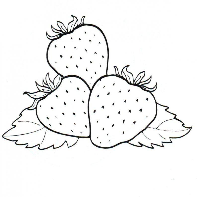 Название: Раскраска Рисунок клубники. Категория: ягоды. Теги: клубника.